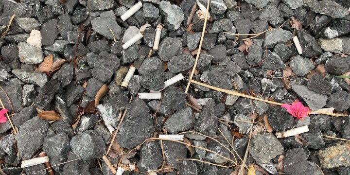 「タバコの吸い殻」閉鎖された喫煙所付近に大量…「ポイ捨ては罪にならないの」怒りの声