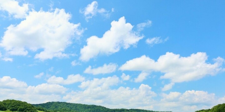 賃貸契約で「清掃費用は敷金から負担」の特約――全額返してもらうポイントは？