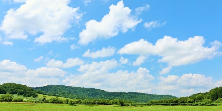 バツ3弁護士 今度は 妊娠と事実婚 たどり着いた 過剰に求めすぎない 生き方 弁護士ドットコム