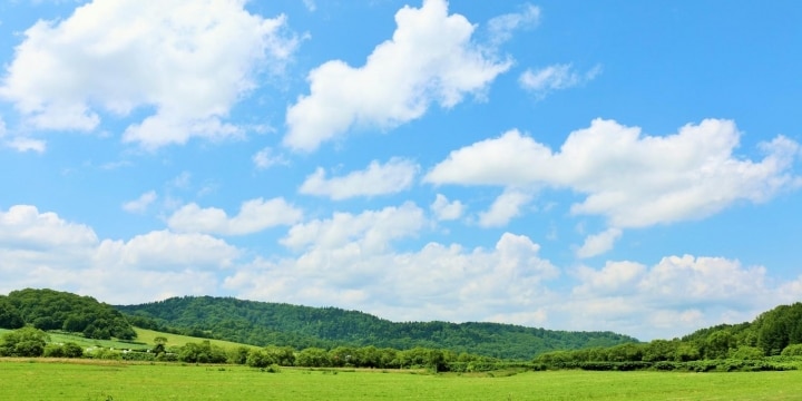 売りたい不動産の隣は「ワケあり一家」住人が薬物中毒で暴行事件...告知すべきか？