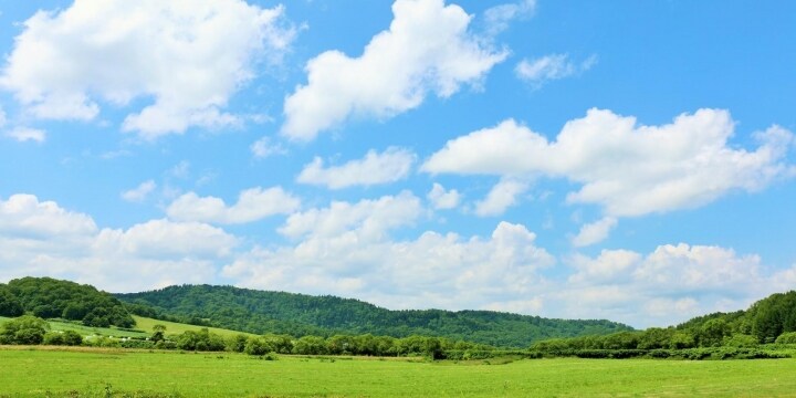 突然「離婚したい」と言われたら…「修復は難しい」と弁護士が指摘する理由