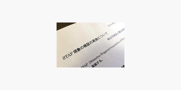 Stap細胞 論文の共著者 丹羽仁史氏が 記者クラブ 向けに会見 弁護士ドットコム