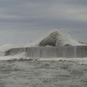 茨城「死の防波堤」過去72名が死亡も、釣り人あとを絶たず…港湾事務所が注意呼びかけ