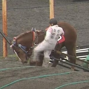 騎手が「馬の顔蹴る」動画が物議、ばんえい競馬「許される行為ではない」と処分