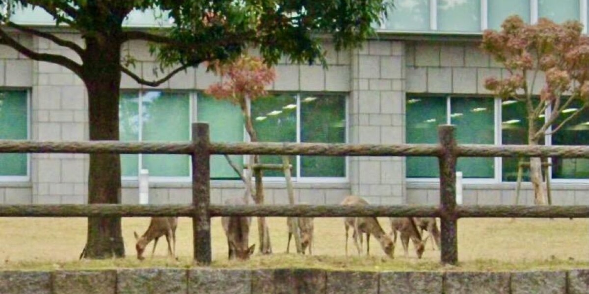 裁判所クチコミ…大阪「USJより面白い」、奈良「鹿に安らぐ」　Googleレビュー全国行脚