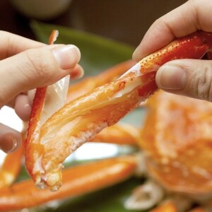 ホテル備え付けのケトルで「カニ茹でた」宿泊客、損害賠償を請求されて「困惑」