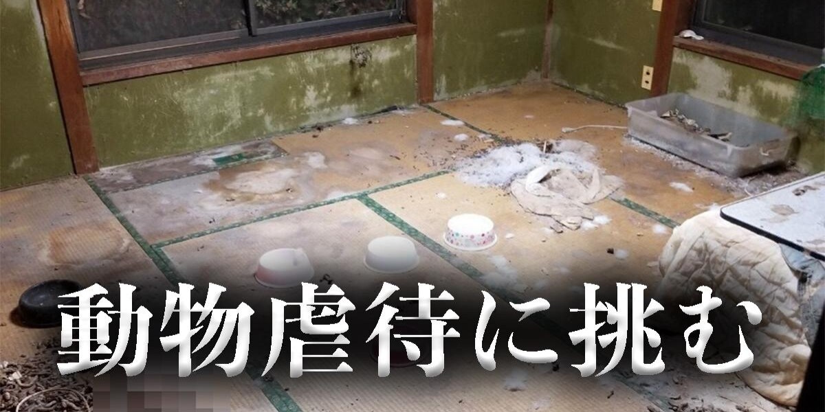 「人と動物に優しい社会を」どうぶつ弁護団に寄せられる期待、物言えぬ動物の虐待事件を調査 - 弁護士ドットコムニュース