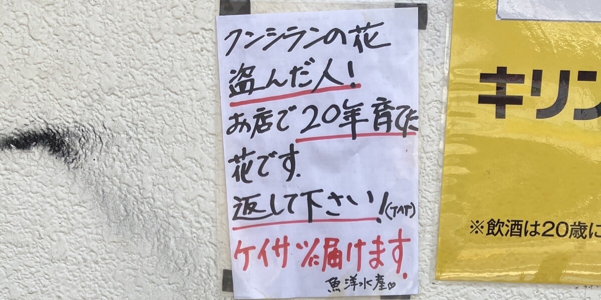 六本木の居酒屋で花盗まれた！　名物ママが訴え　常連だった猪木さん、嵐・相葉くんもロケ
