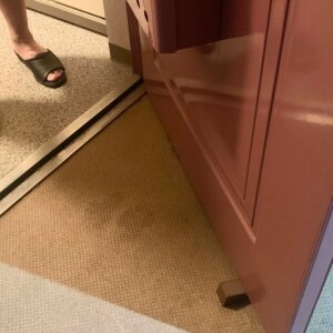 暑い、暑すぎる…玄関ドア開けっぱなし、マンションではNG　その理由とは？