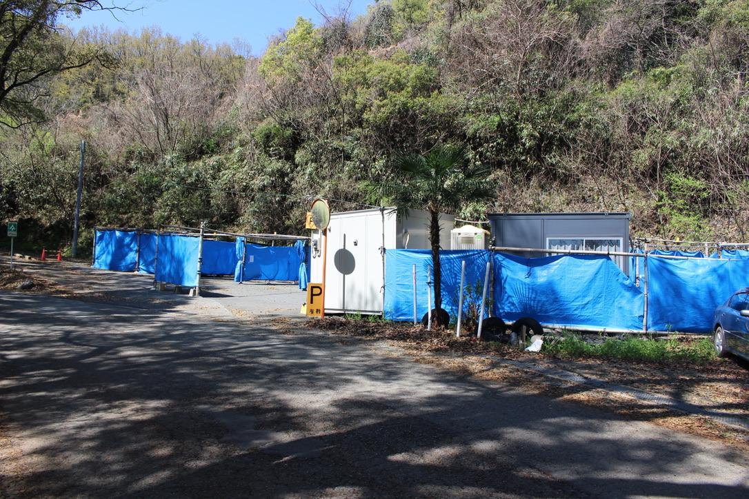 桜も植えたいそうだ（2024年3月／熊本県／弁護士ドットコム）