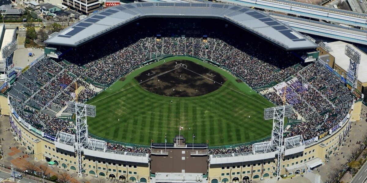 甲子園に2度出場した元球児の弁護士が提言　日本高野連に「公正な通報窓口を」