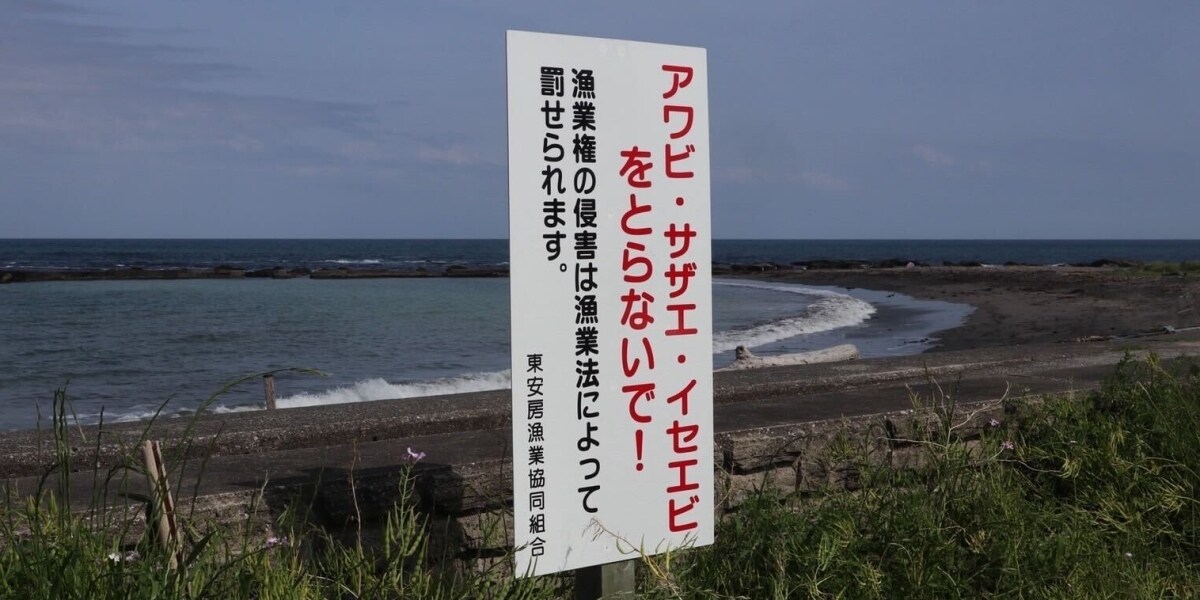 「少しくらいなら…」軽い気持ちでアワビ密漁、どんな罪に？ 弁護士が解説「拘禁刑や罰金」のリスク
