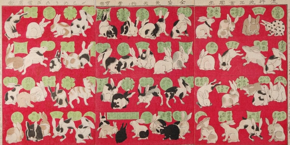 朝ドラ「ばけばけ」で衝撃、明治日本を揺るがせた「ウサギ税」と投機バブルの真相