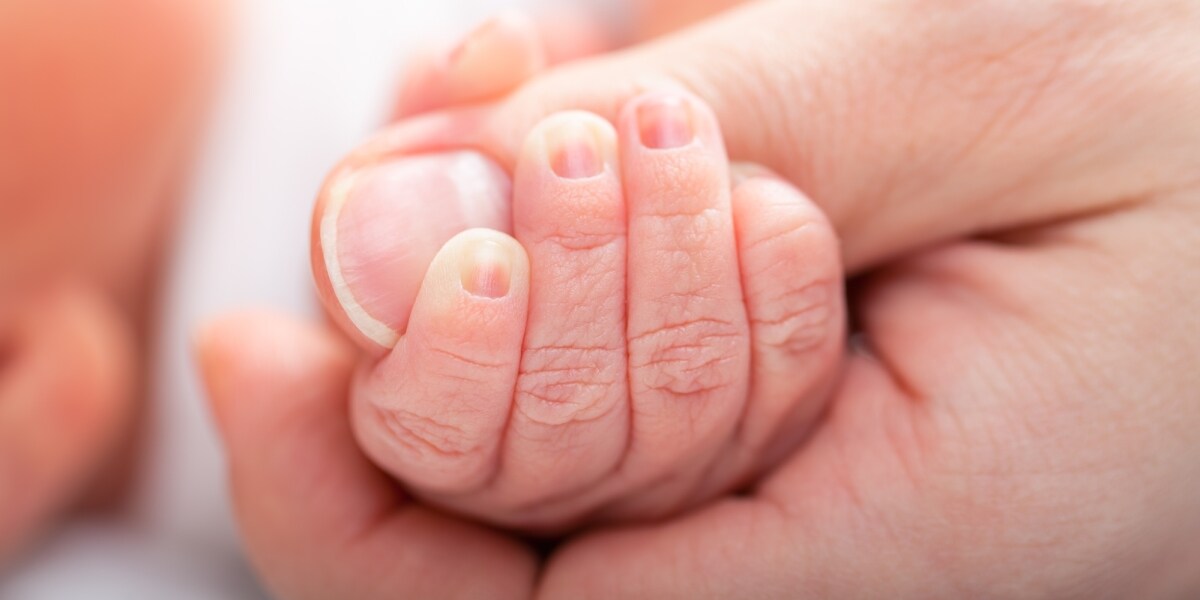 “一緒にいてあげれなくてごめん”出産した我が子3人を押し入れに隠した女性…困窮の中、赤ちゃんポスト遠く