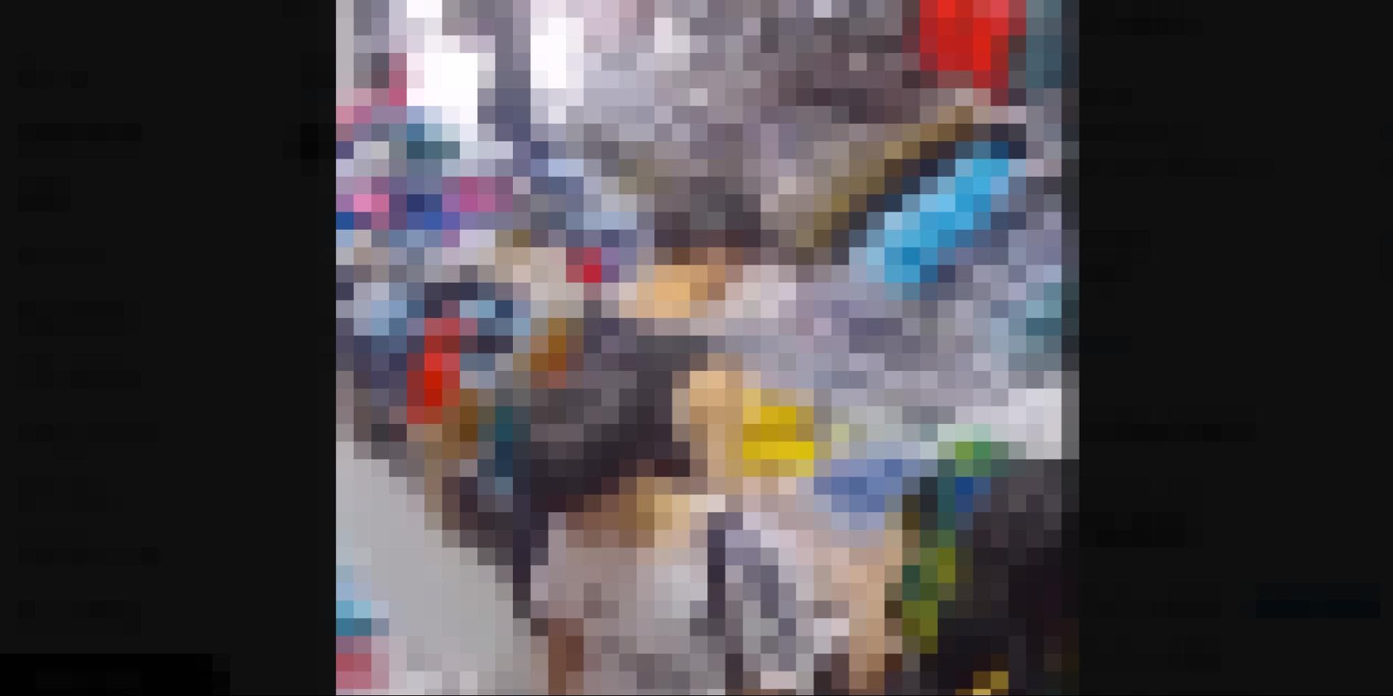 拡散した動画（編集部でモザイク処理しています）