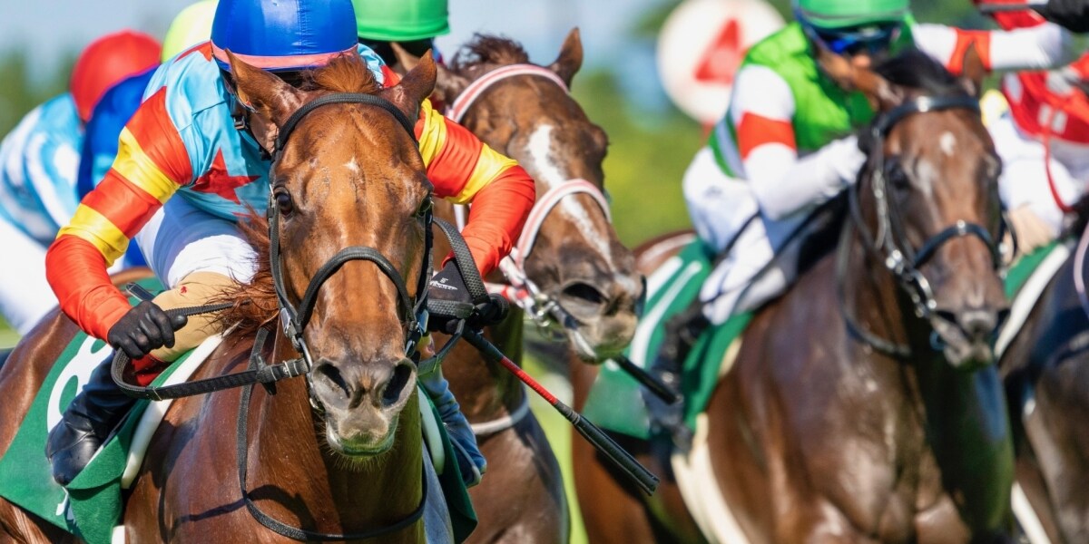 馬運車にぶつかったら「人生が終わる」ネットの噂は本当か？競走馬の賠償額と対物無制限の限界