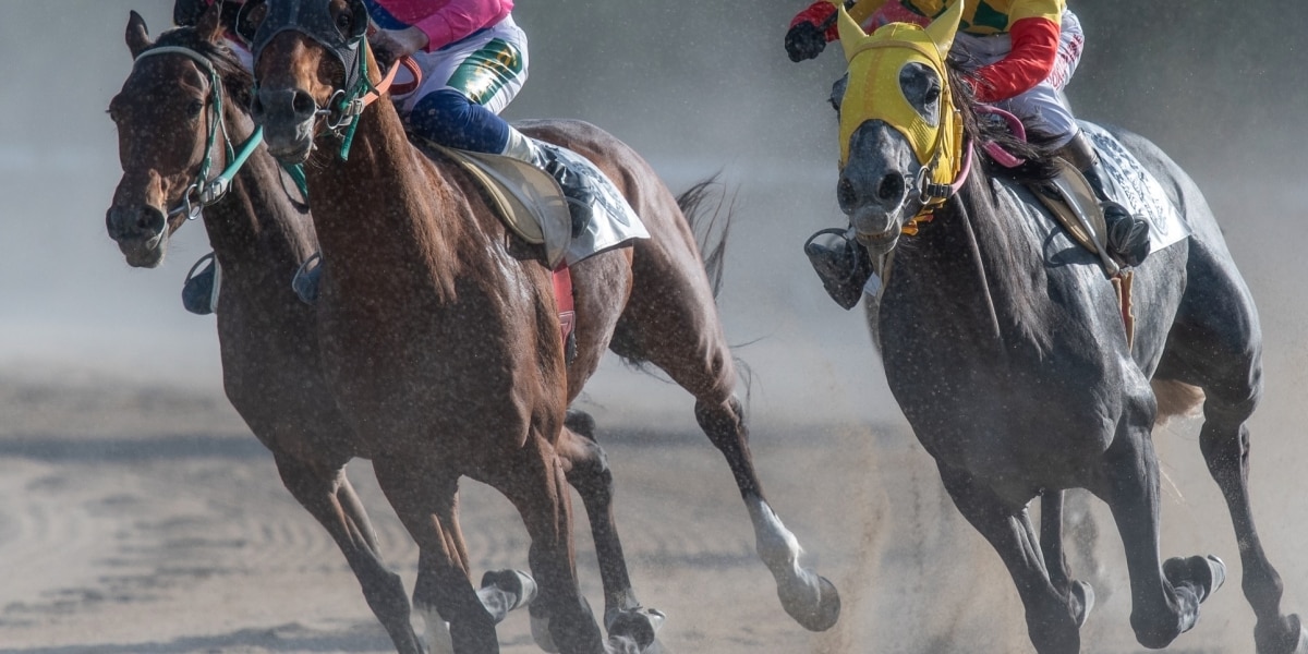 ウマ娘人気で注目、“名馬の名前”はどこまで使ってOK？　午年に改めて整理する法的ルール