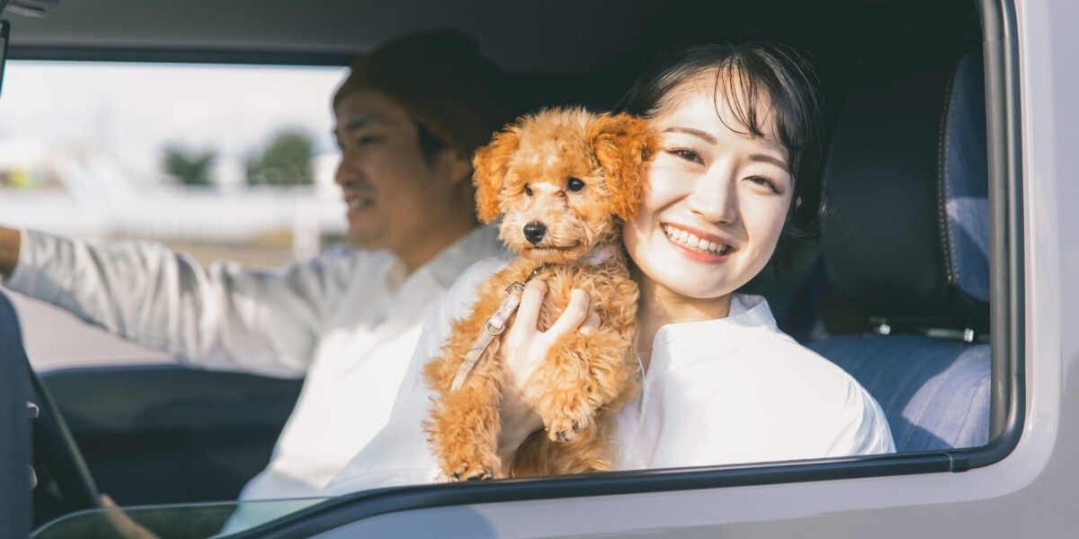 「規約違反では？」タイムズカー車両に“ペット同乗”か、SNS波紋　運営会社の見解は