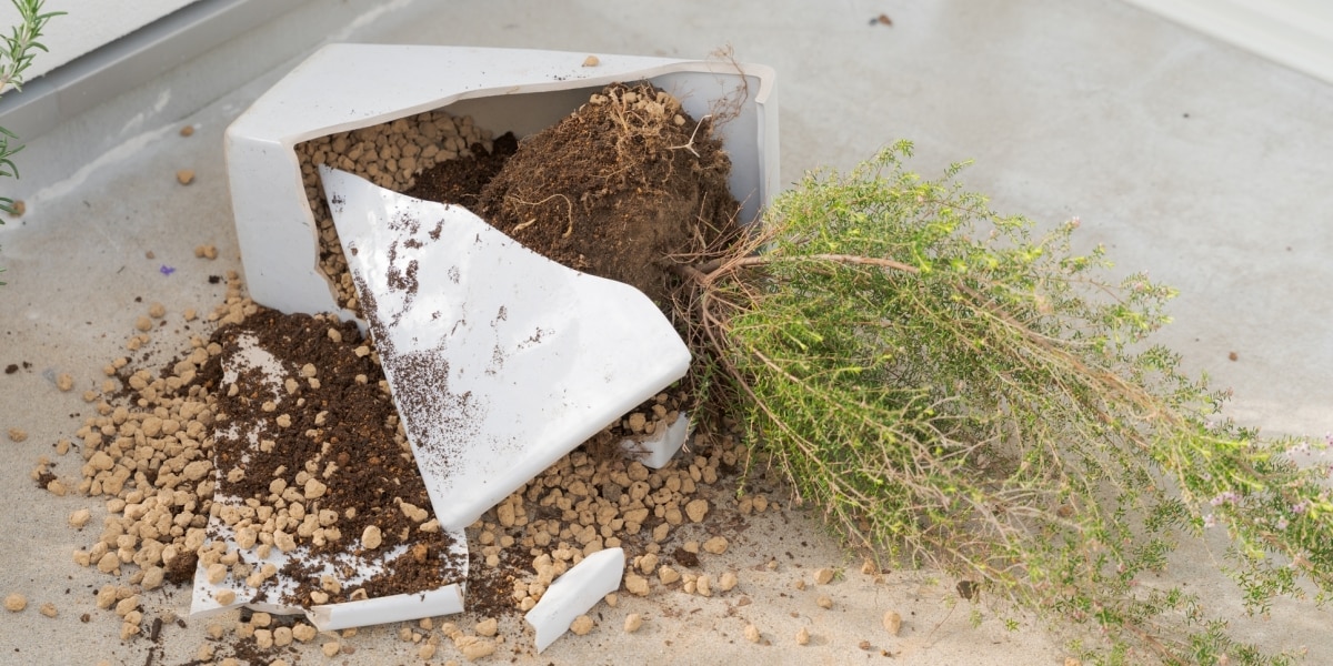 洗濯物が飛んで隣の植木鉢を破壊、火のついたタバコで穴…ベランダのトラブルで賠償責任は？