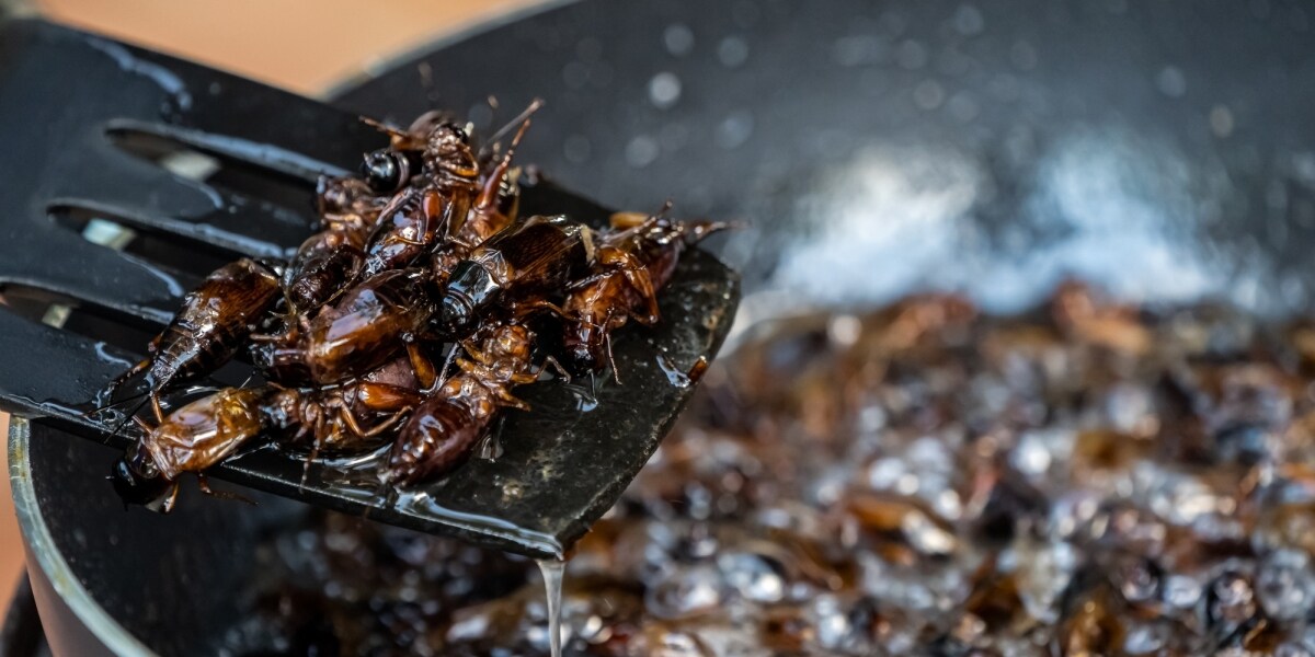 「ミスのペナルティだ」部下に“虫入り鍋”食べさせた疑いで役員逮捕、職場でこんな要求されたらどうする？