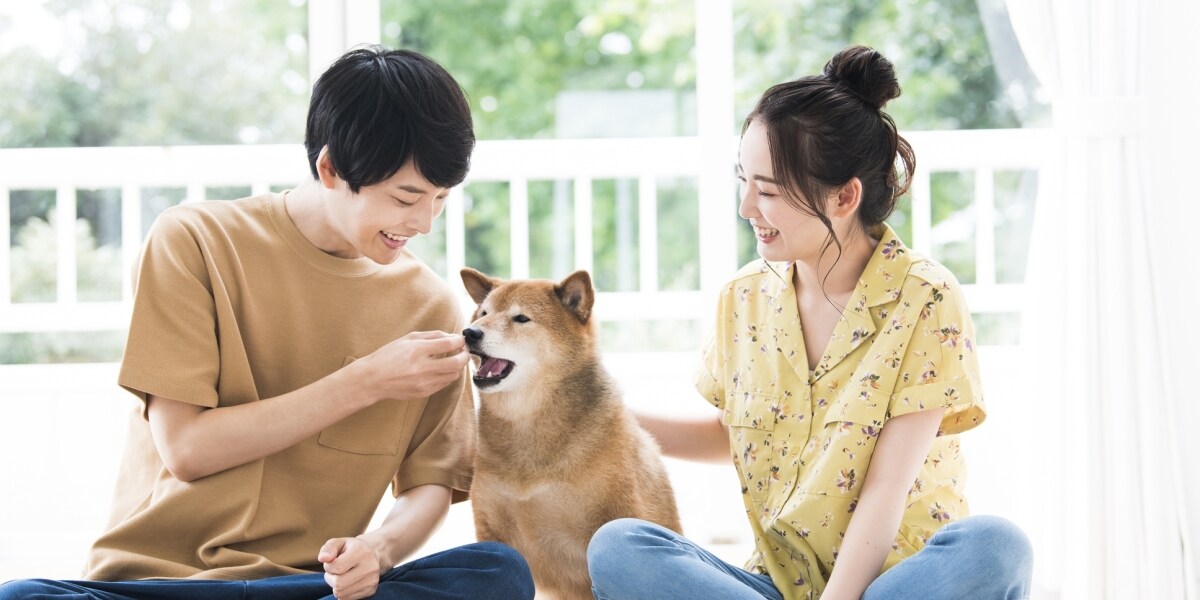 「犬を返せ！」別居中の妻が職場に現れトラブル、夫「俺のほうが世話していた」ペットは夫婦どちらのもの？