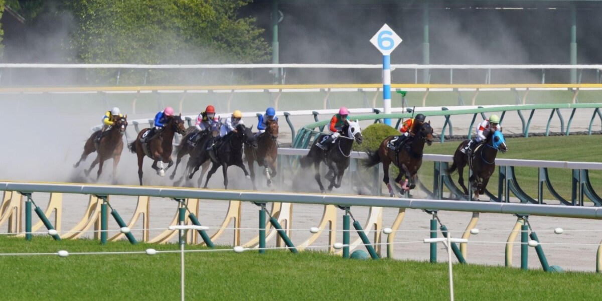 「毎日競馬をやればいい」はなぜ簡単じゃない？　JRA猛暑対策で浮上した開催日数のルール