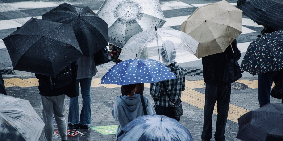 台風でも出社しなきゃダメ？「明日は在宅」「通常出社」分かれる対応、法的ポイントは