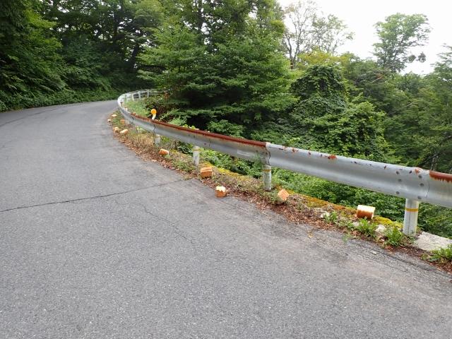 路上に捨てられた食パン（提供：自然公園財団）