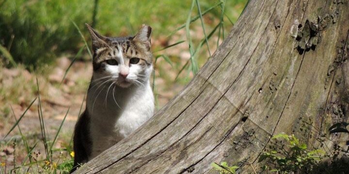 街コンで出会った彼氏と音信不通 もう一度会いたい と職場に押し掛けるのはng 弁護士ドットコム