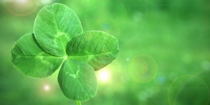 ℃-ute岡井さん、両親が貯金を「ゲーム課金」で使っていた！ 返してもらえるの？