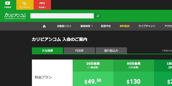 摘発された海外無修正動画「AV出演強要の被害者を苦しませてきた」「実態の解明を」