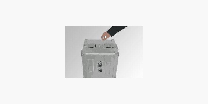 「一票の格差」訴訟、最高裁大法廷の判決はどうなるか