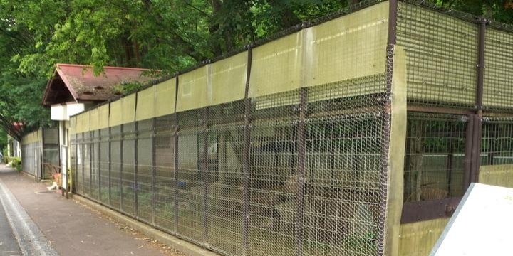 「開園時がピーク」から脱却へ、閉園崖っぷち「盛岡市動物公園」再生プロジェクトが始動