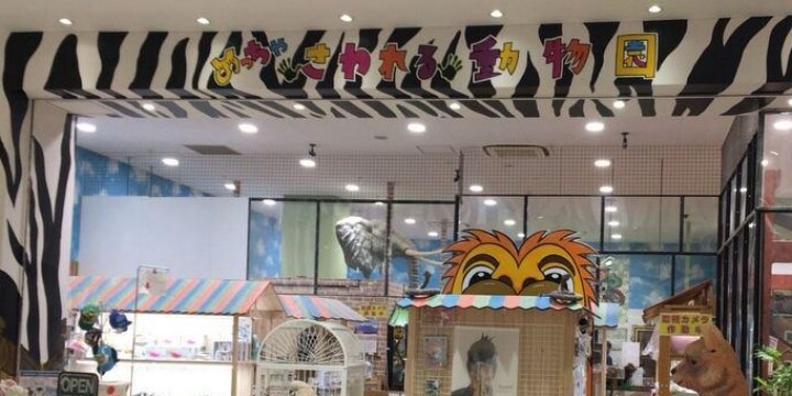 めっちゃさわれる動物園 経営者に罰金刑 危険な動物を無許可飼育 ピエリ守山からは退去予定 弁護士ドットコム