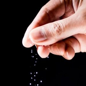 夢の国にいつまでも…ディズニーワールドにまかれた遺灰、法的な問題は？